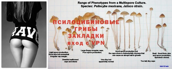 круглые Абаза