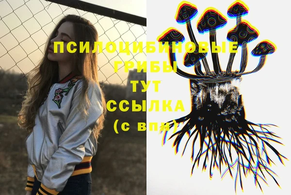 гашик Абинск