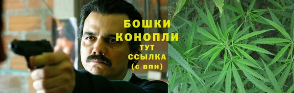прущие грибы Абдулино