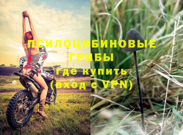 гашик Абинск