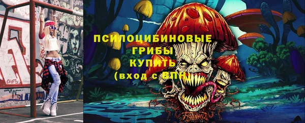 круглые Абаза