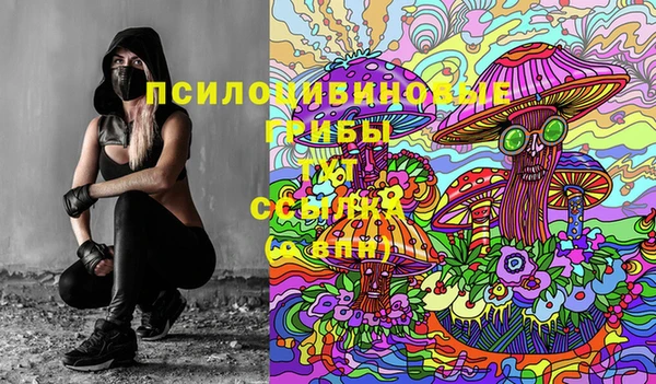 прущие грибы Абдулино