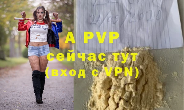 СК Пролетарск