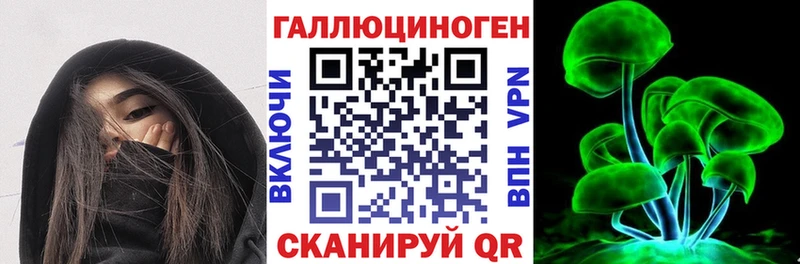 Галлюциногенные грибы Psilocybine cubensis  блэк спрут онион  Кириллов 